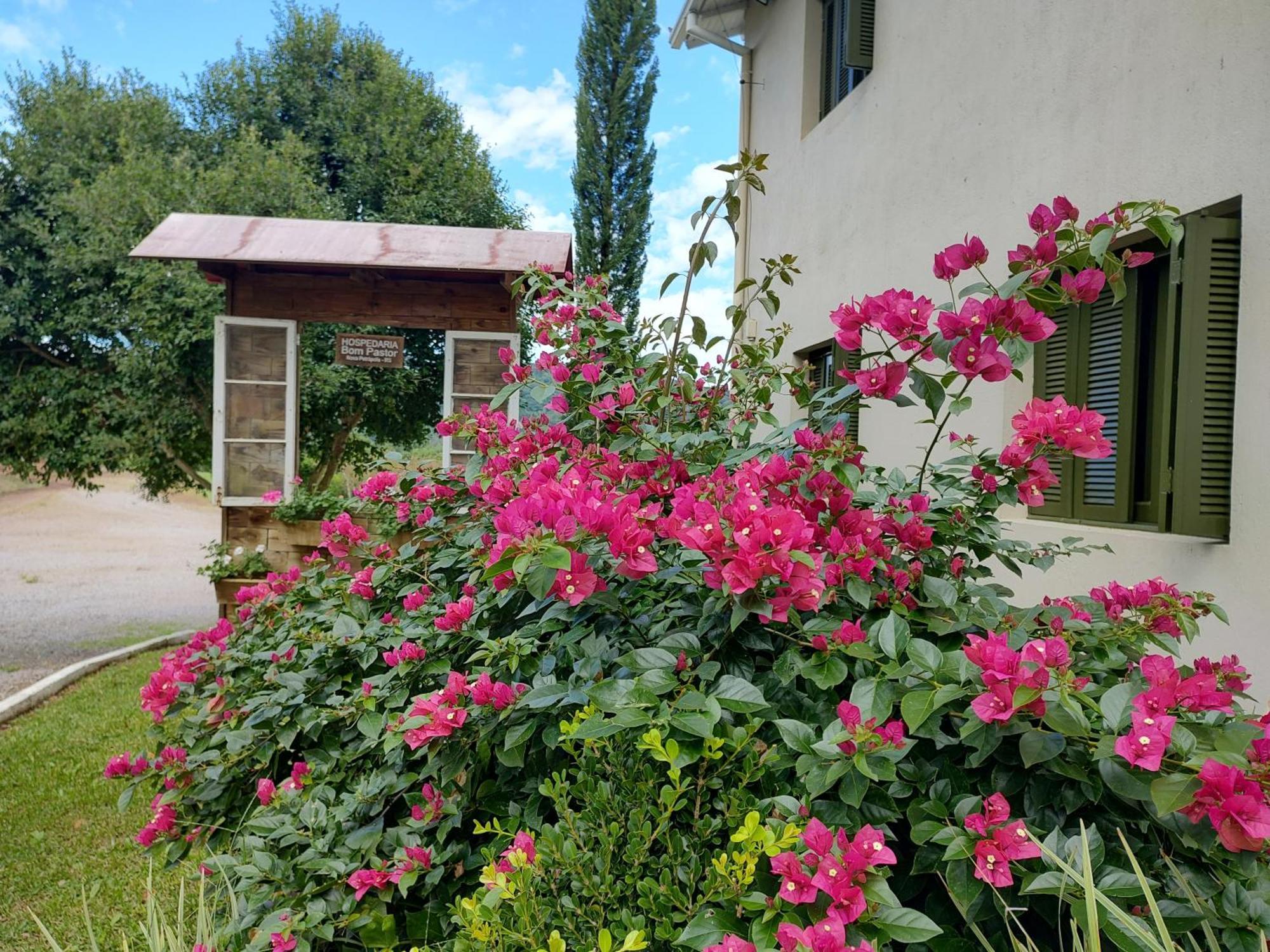 Hospedaria Bom Pastor 新彼得罗波利斯 外观 照片